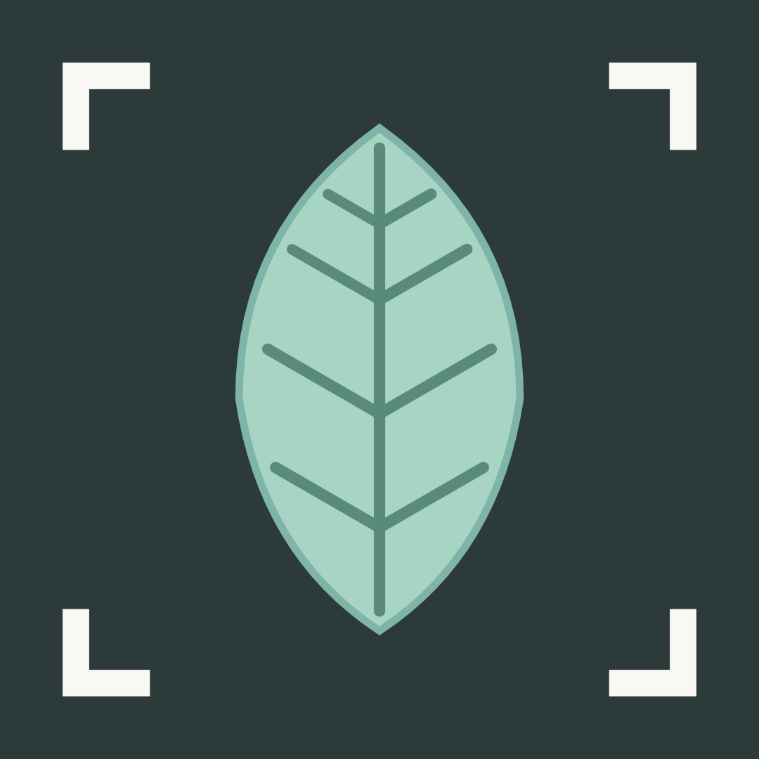 frameleaf co
